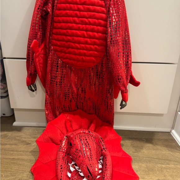 Pottery Barn Kids Fiery Red Dragon Costume - Picture 5 of 7